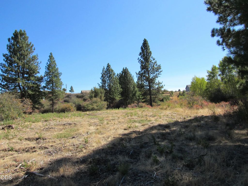 00 Forest View Drive, Chiloquin