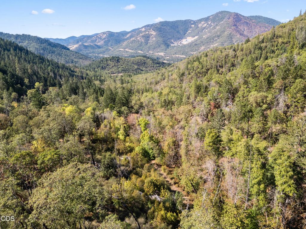 Savage Cr Road 300 & 400, Rogue River