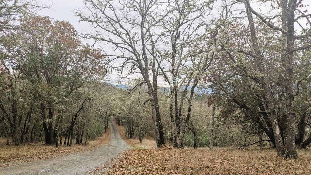 00 Azalea Drive Cut Off Drive 1100,609, Grants Pass