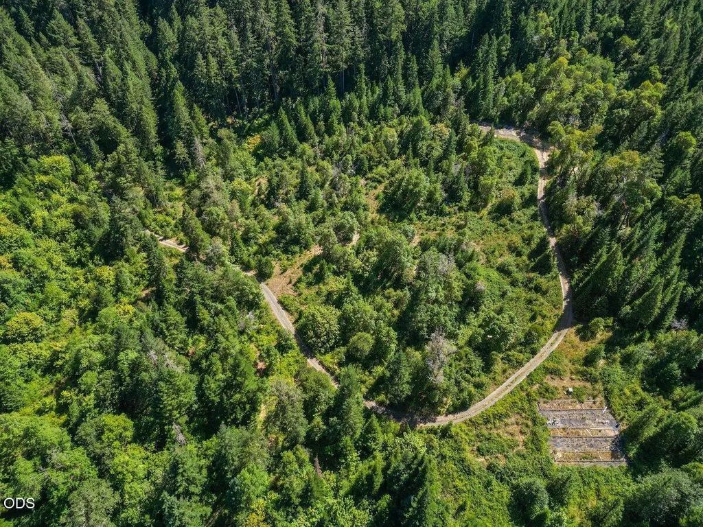433 Old Stage Road, Wolf Creek