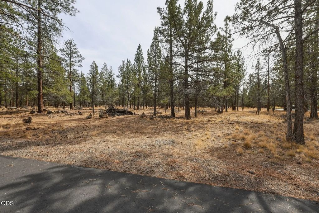 16541 Wren Lane, Sisters