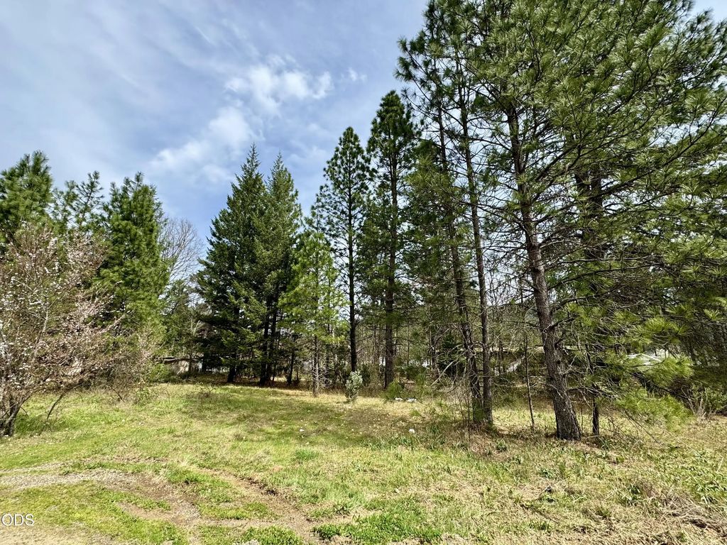 731 N Old Stage Road, Cave Junction
