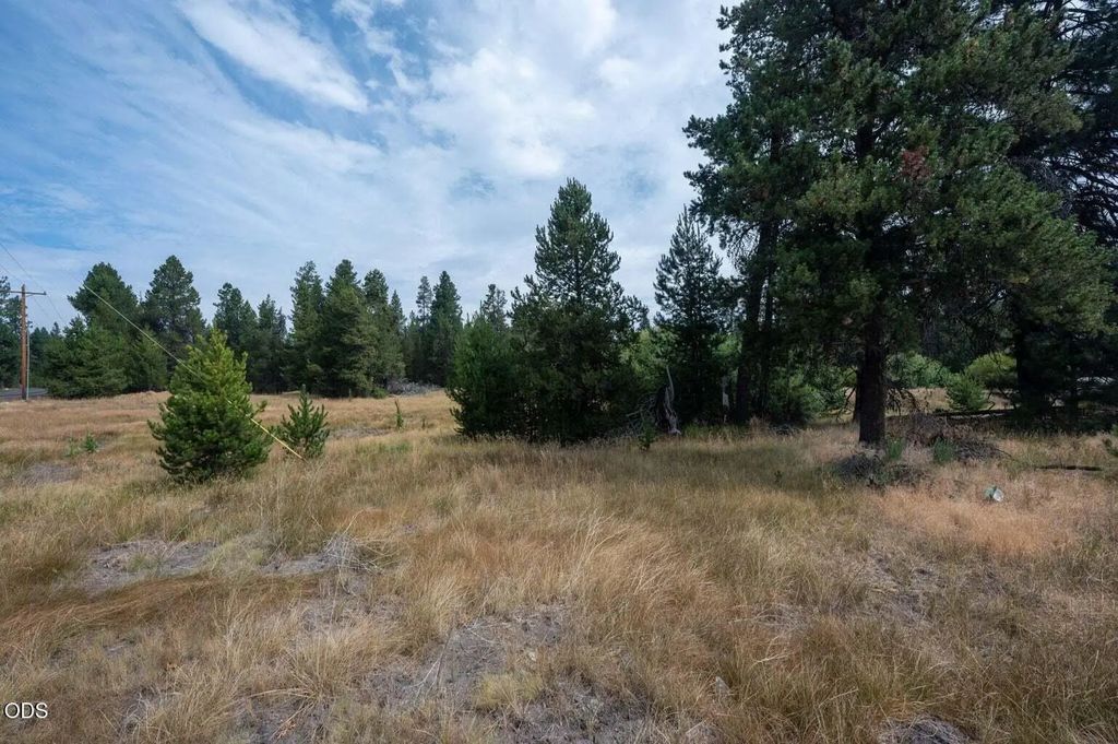 51596 Dorrance Meadow Road, La Pine