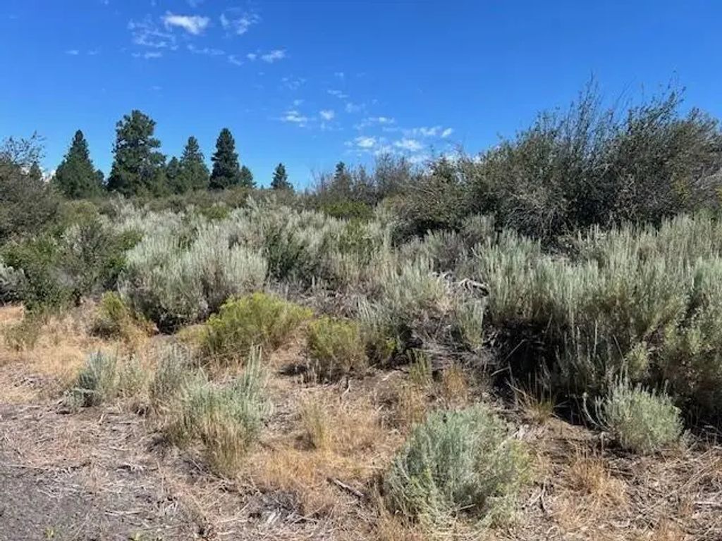 Wrightwood Lot 17, Chiloquin