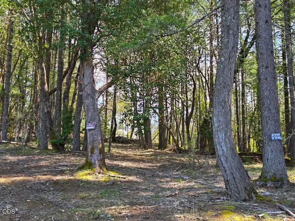 6715 W Side Road, Cave Junction