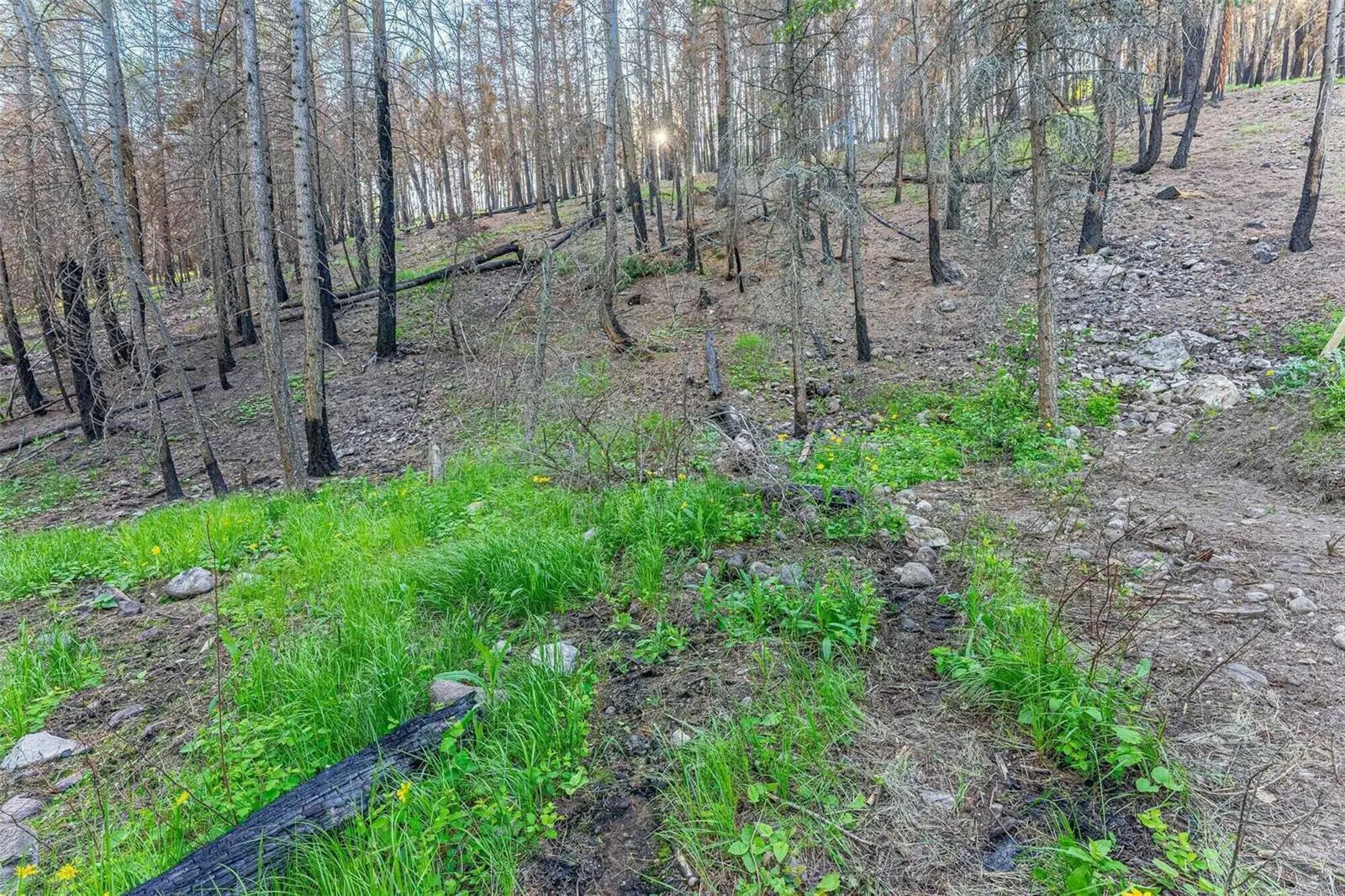 Lot 34 Winchester Road. Vernon, British Columbia