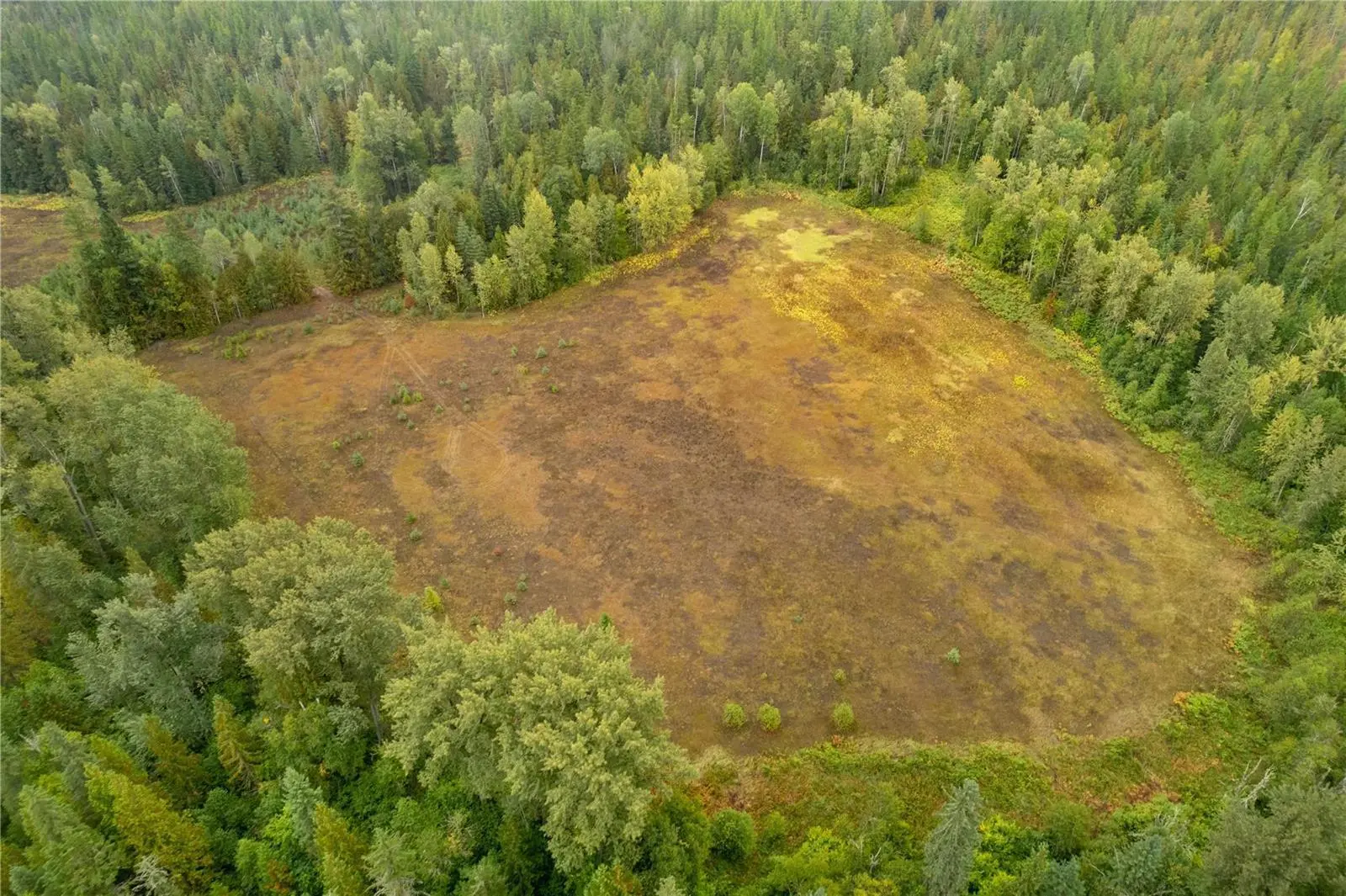 3107 Trinity Valley Road. Enderby, British Columbia