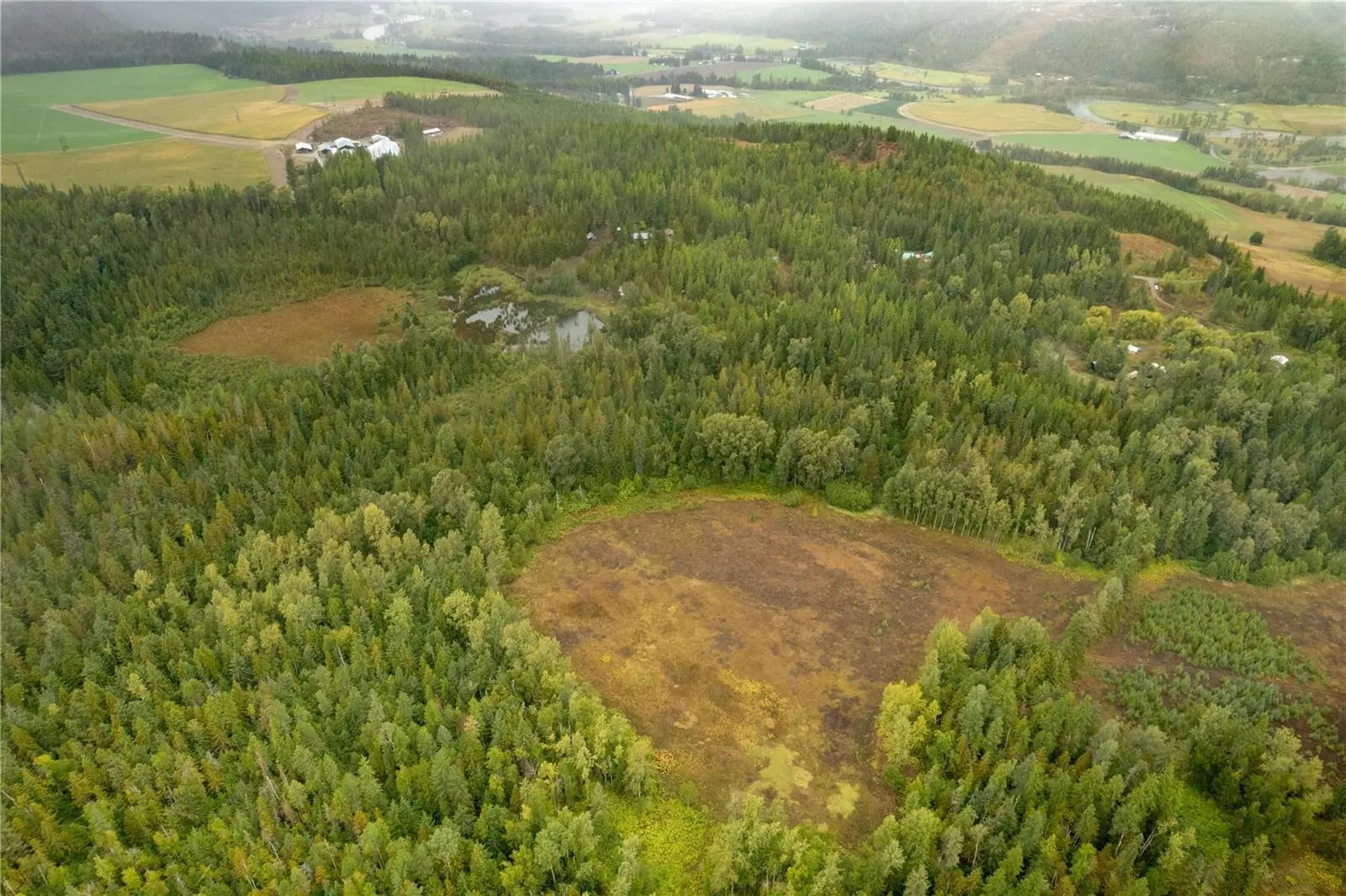 3107 Trinity Valley Road. Enderby, British Columbia