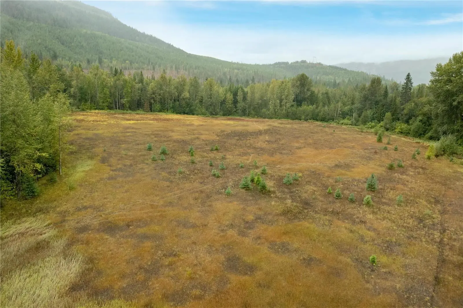 3107 Trinity Valley Road. Enderby, British Columbia