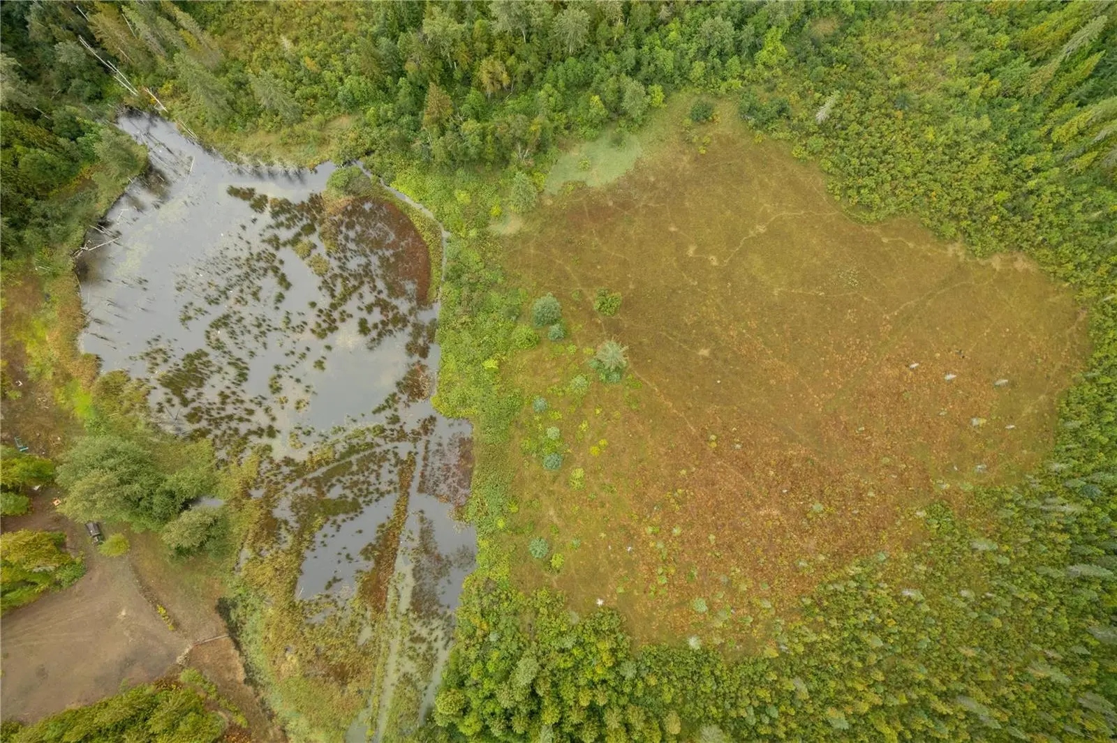 3107 Trinity Valley Road. Enderby, British Columbia