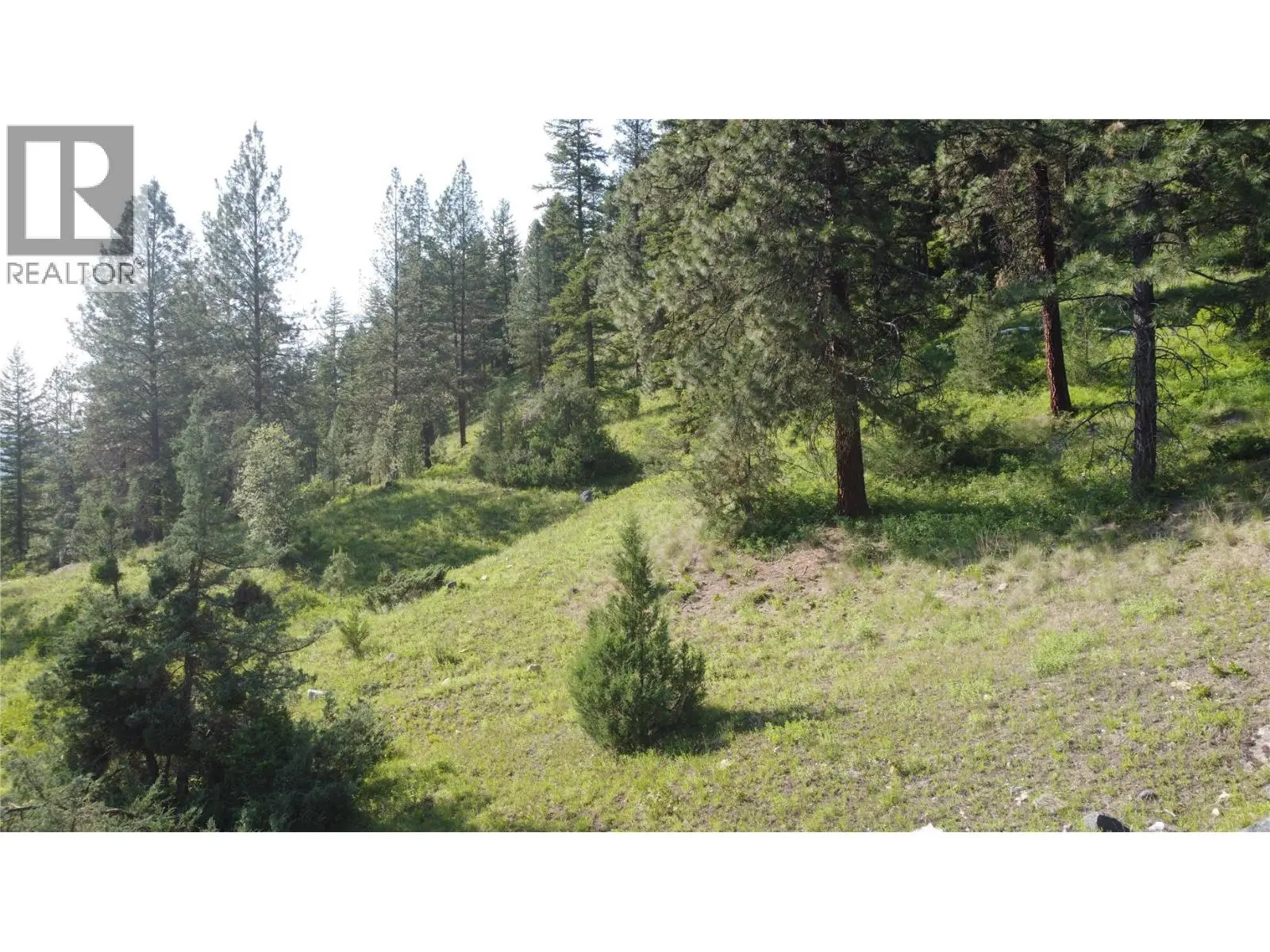 40 Acres Shuswap River Drive. Lumby, British Columbia