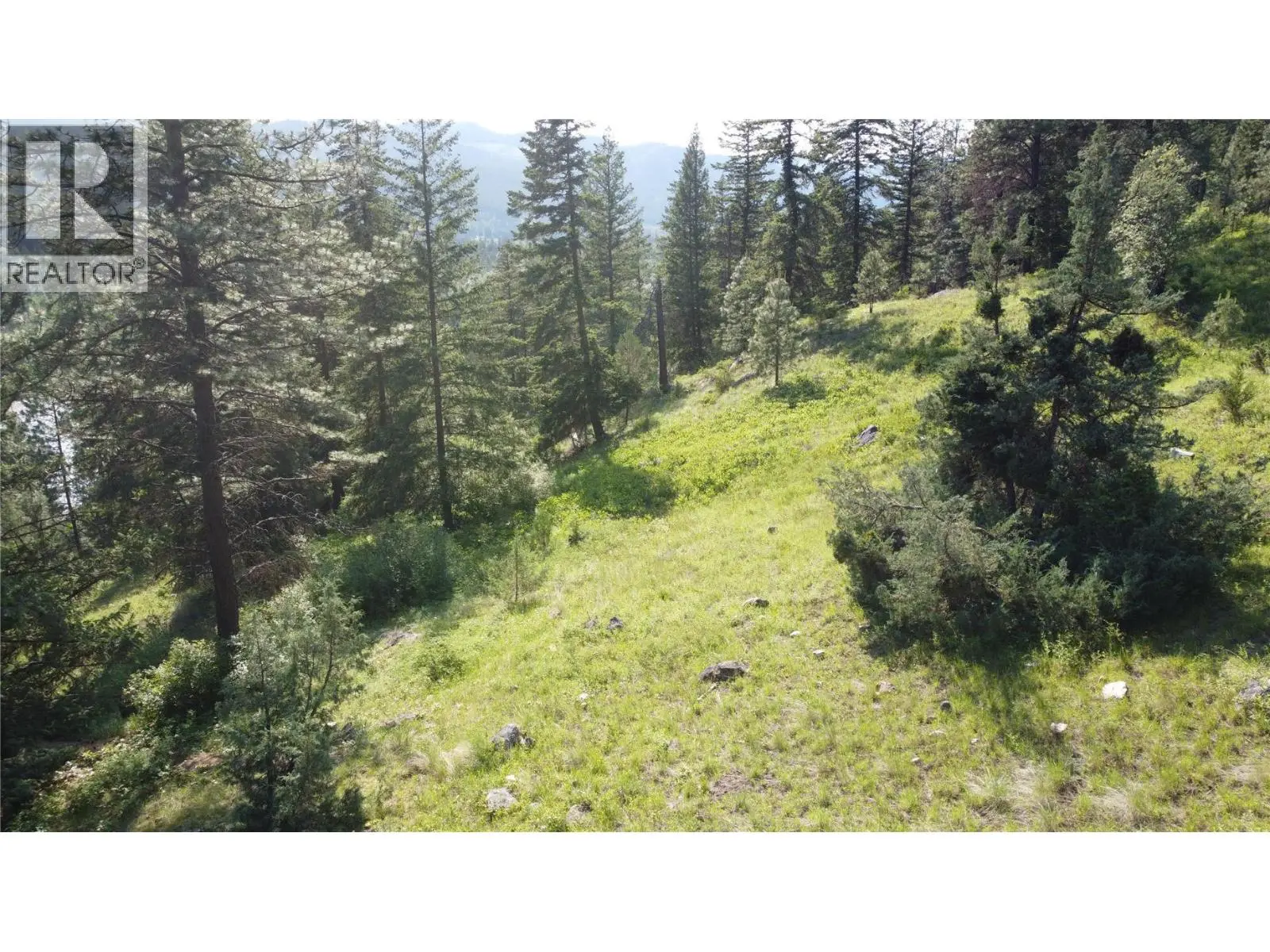 40 Acres Shuswap River Drive. Lumby, British Columbia