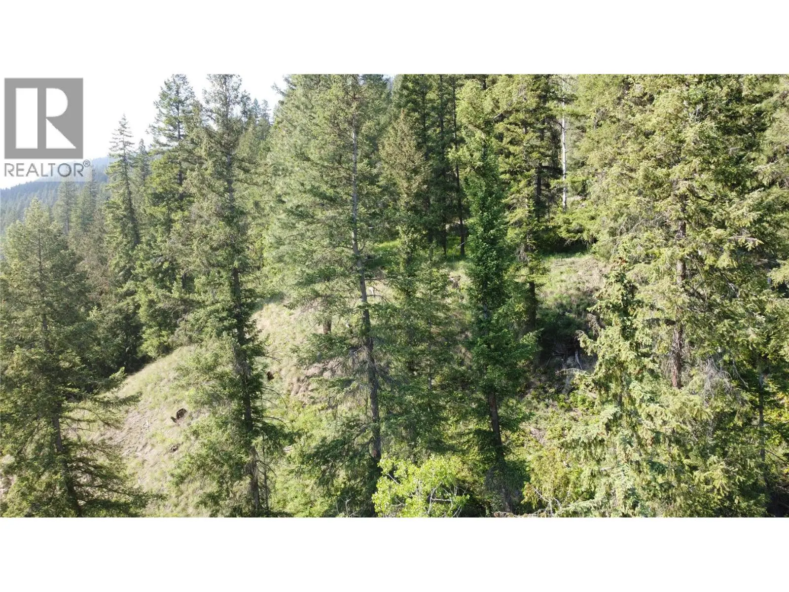 40 Acres Shuswap River Drive. Lumby, British Columbia