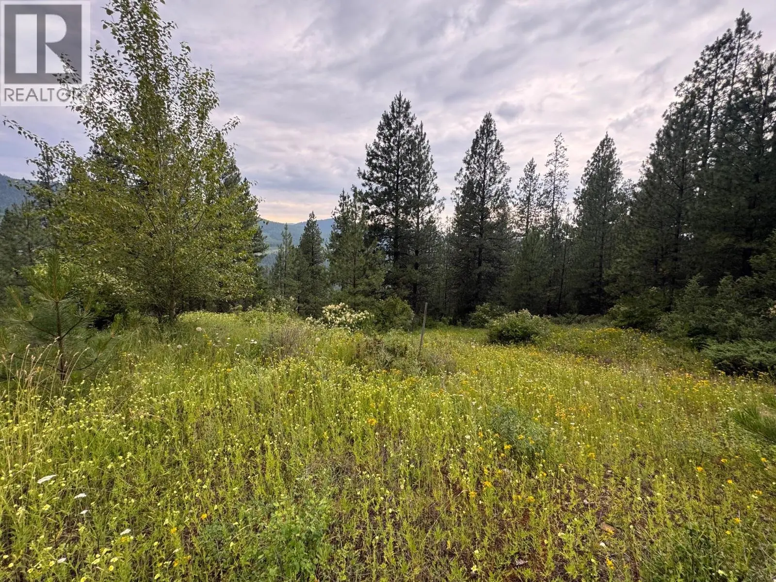 40 Acres Shuswap River Drive. Lumby, British Columbia