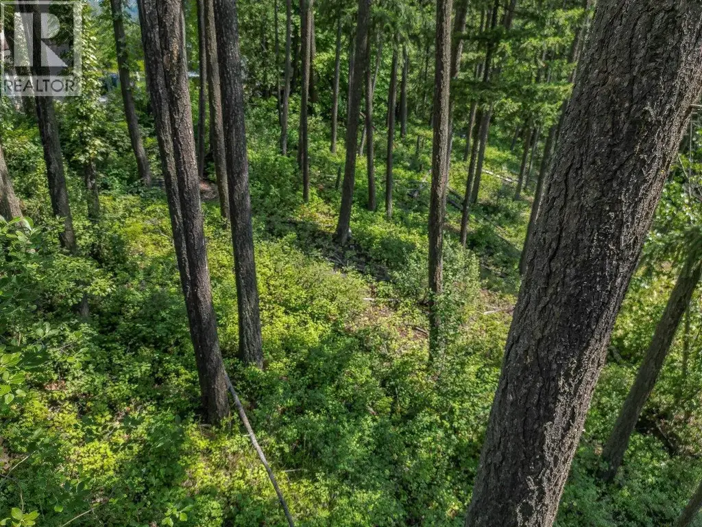 Lot 25 Forest View Place, Blind Bay