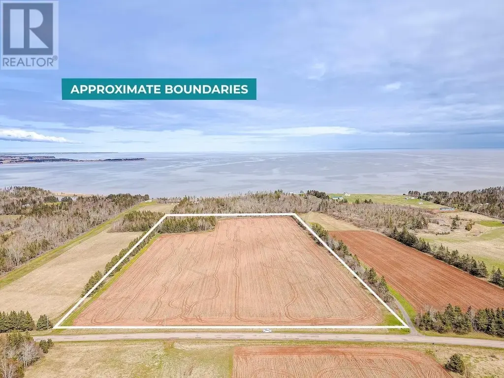 Acreage Primrose Road, Launching