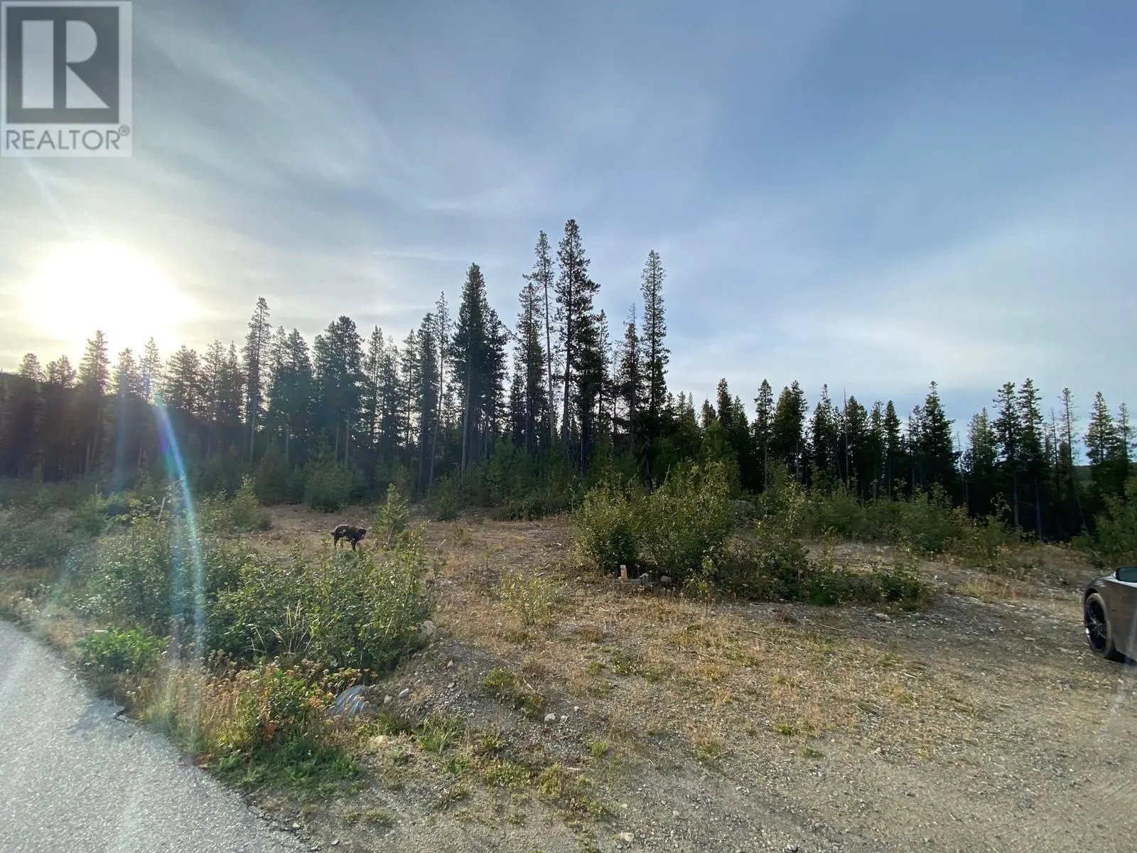 19 Buck Road. Oliver, British Columbia