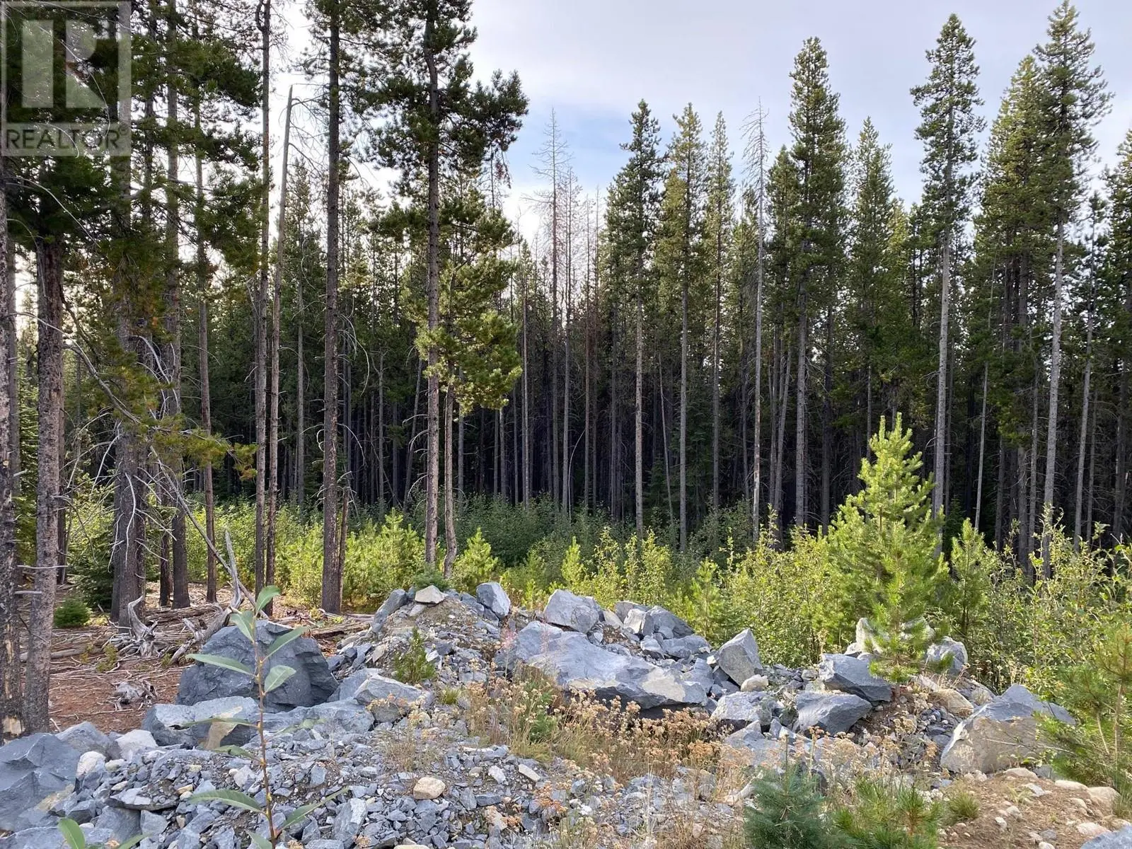 19 Buck Road. Oliver, British Columbia