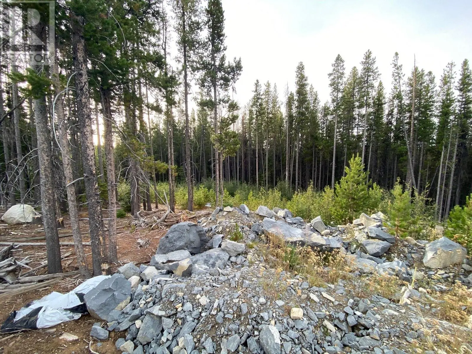 19 Buck Road. Oliver, British Columbia