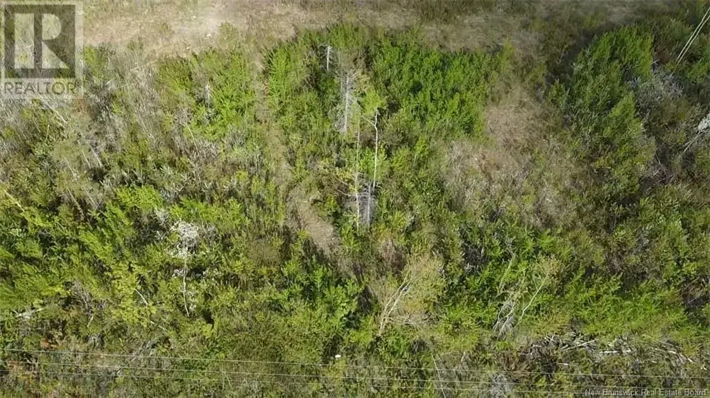 Lot 9 Tobin Road, Elmwood