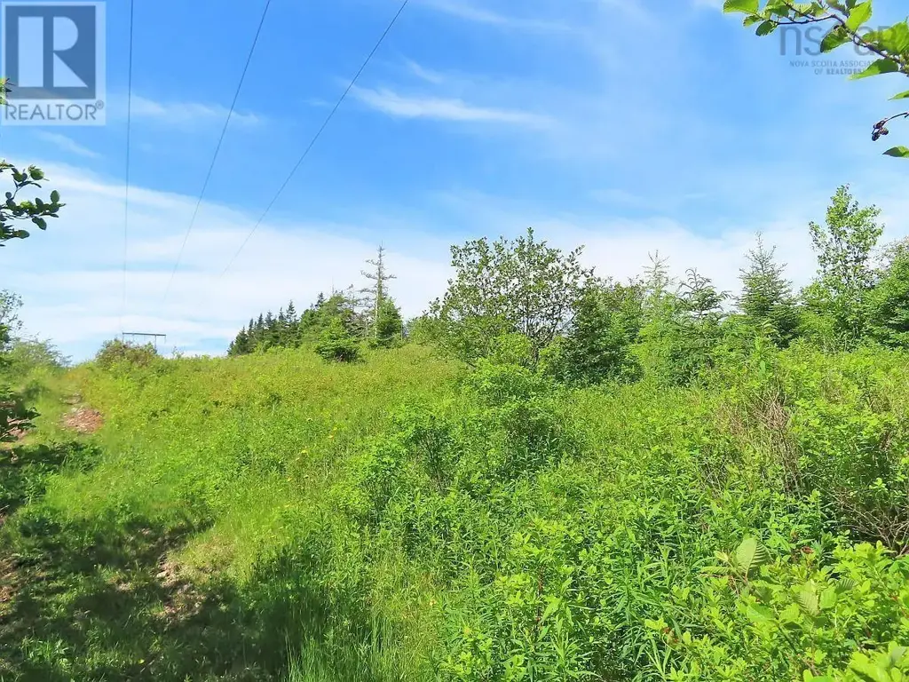 Lot 2 Old Trunk 4 Highway, Soldiers Cove