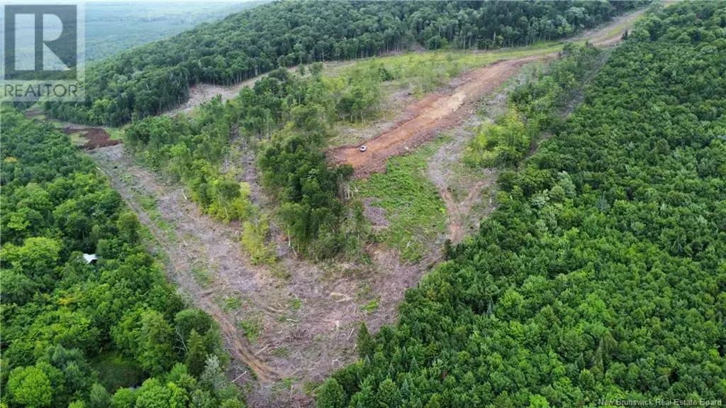 Lot 17 Crabbe Mountain, Central Hainesville