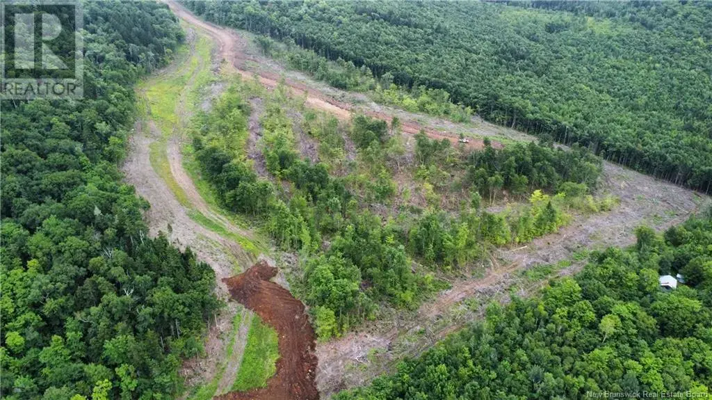Lot 19 Crabbe Mountain, Central Hainesville