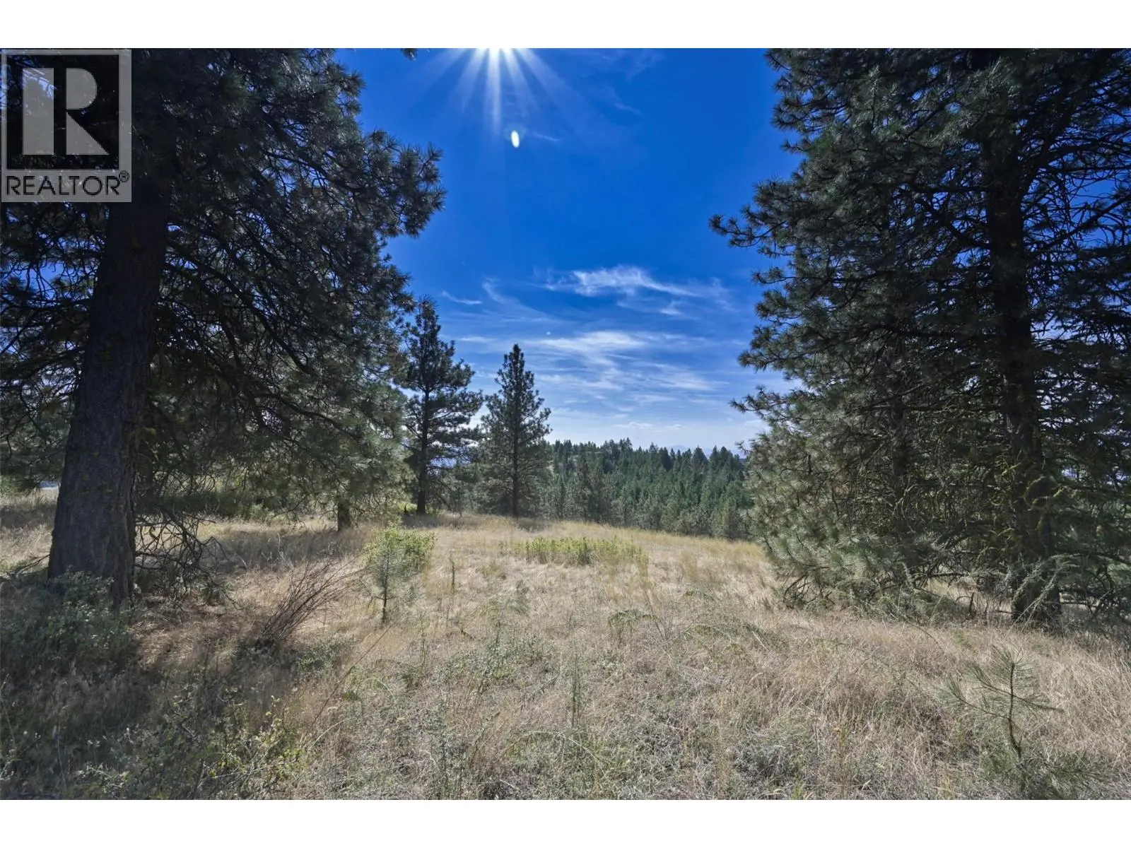 870 Eagle Place. Osoyoos, British Columbia