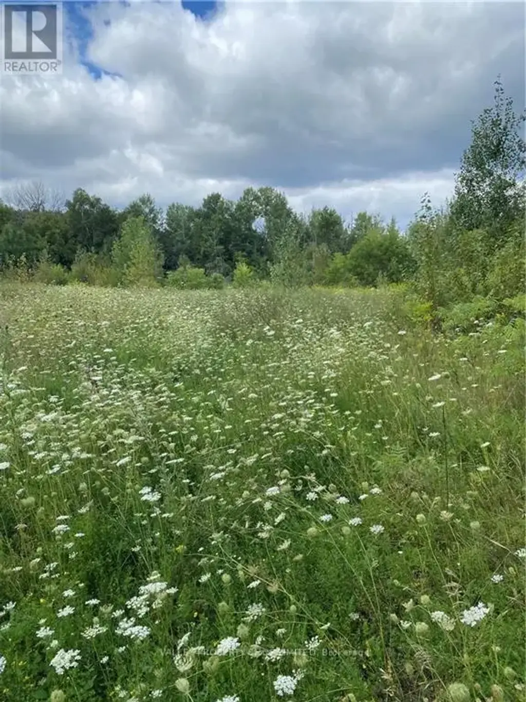 00 Jean Avenue, Laurentian Valley