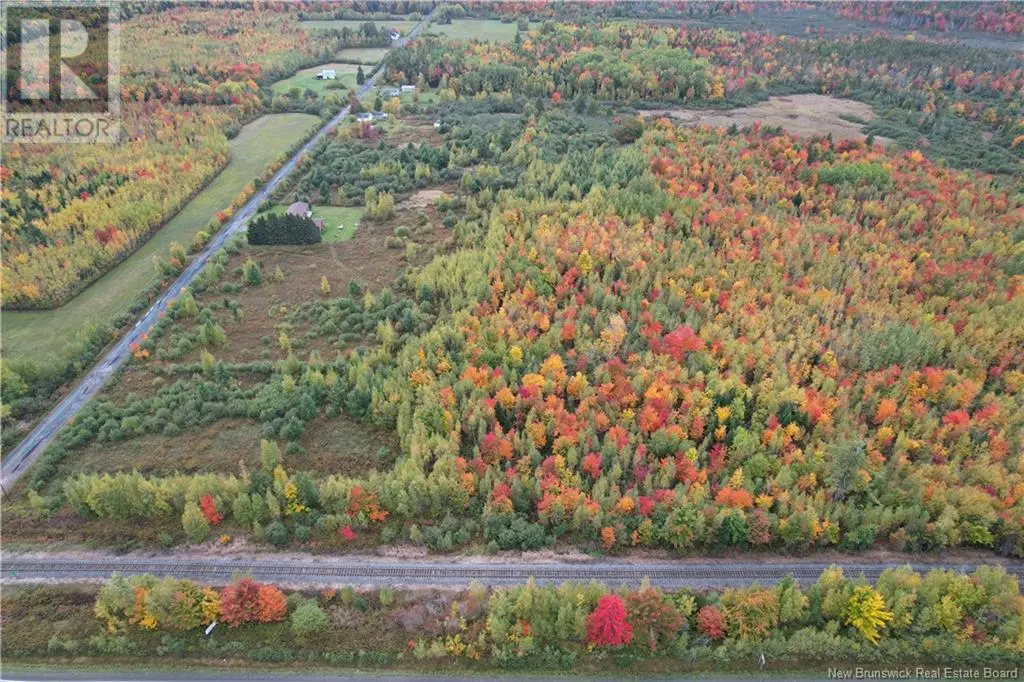 Photo of Listing #NB108367
