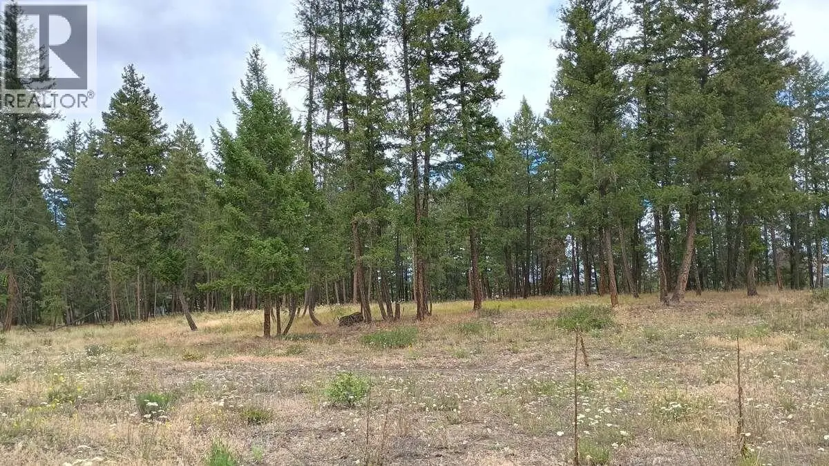 640 Highway 3 Unit# 1. Princeton, British Columbia