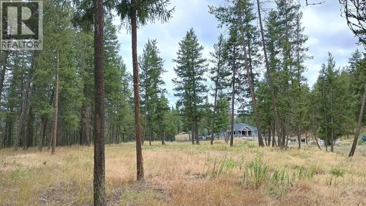 640 Highway 3 Unit# 1. Princeton, British Columbia