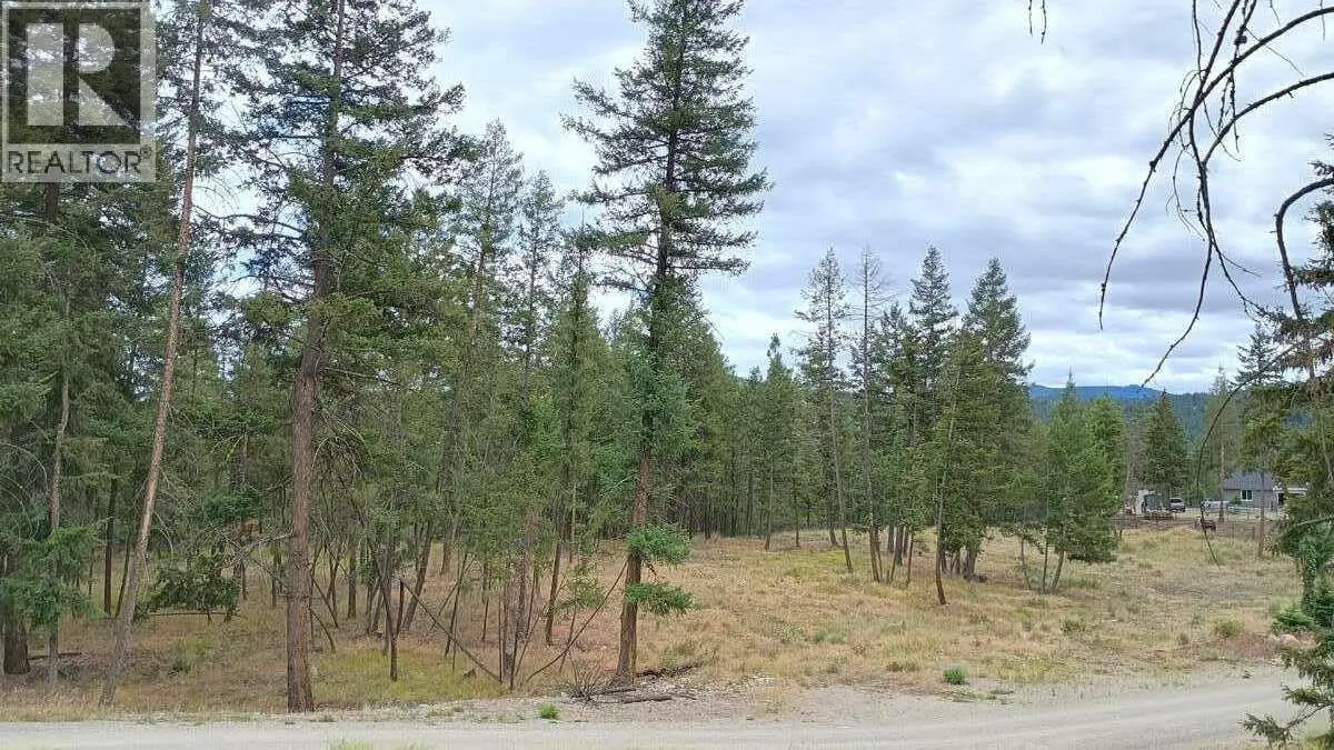 640 Highway 3 Unit# 1. Princeton, British Columbia