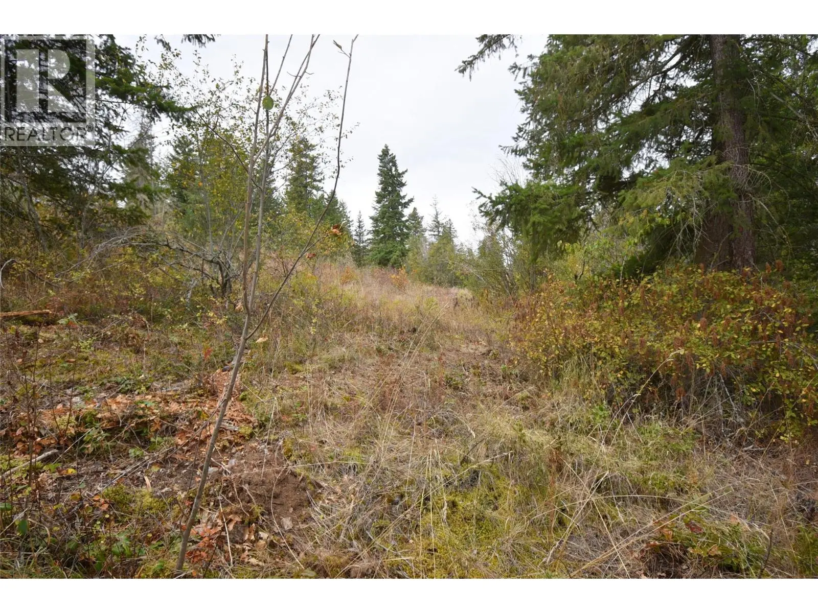 252 Crooked Pine Road. Enderby, British Columbia