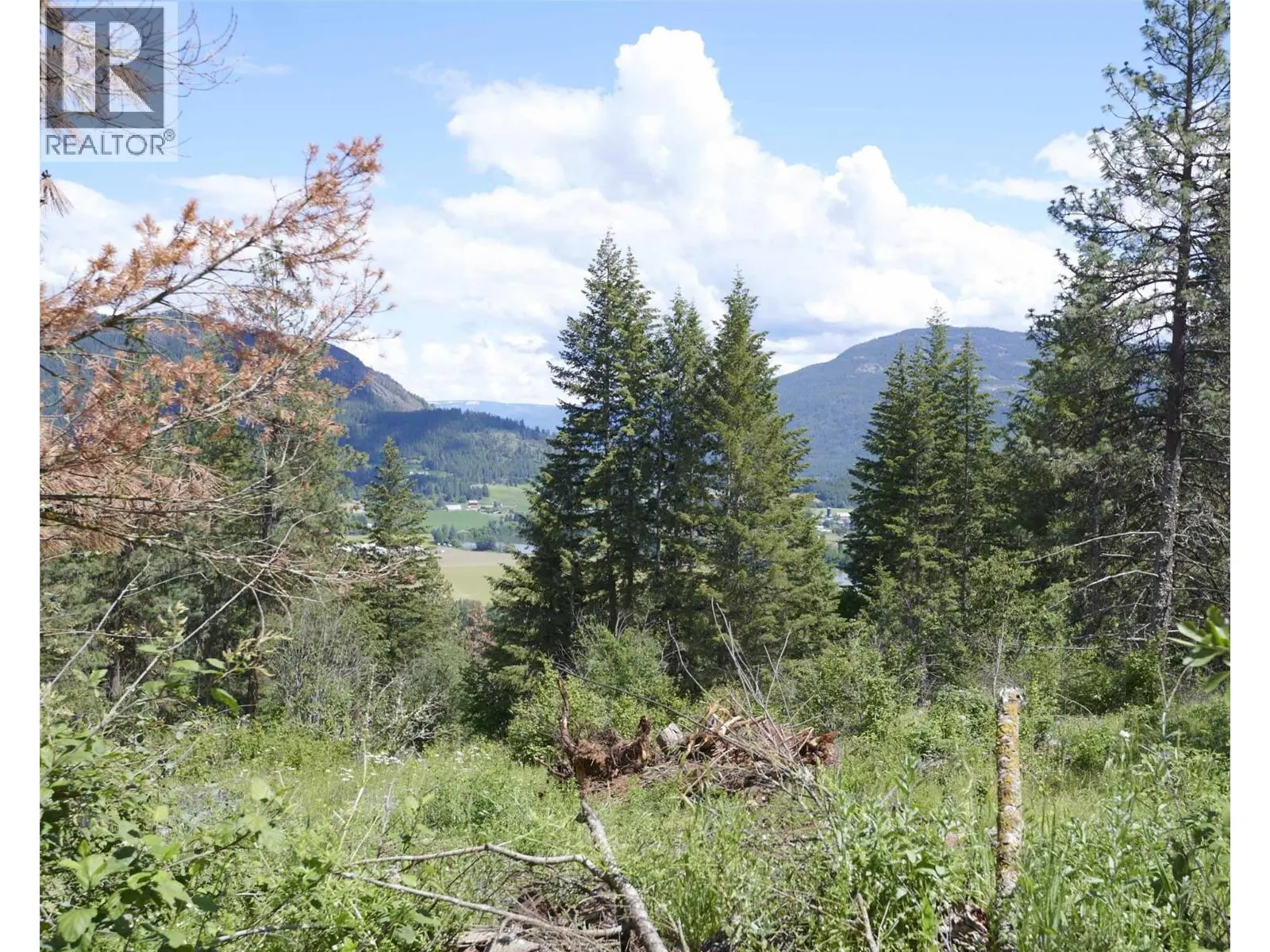 243 Crooked Pine Road. Enderby, British Columbia