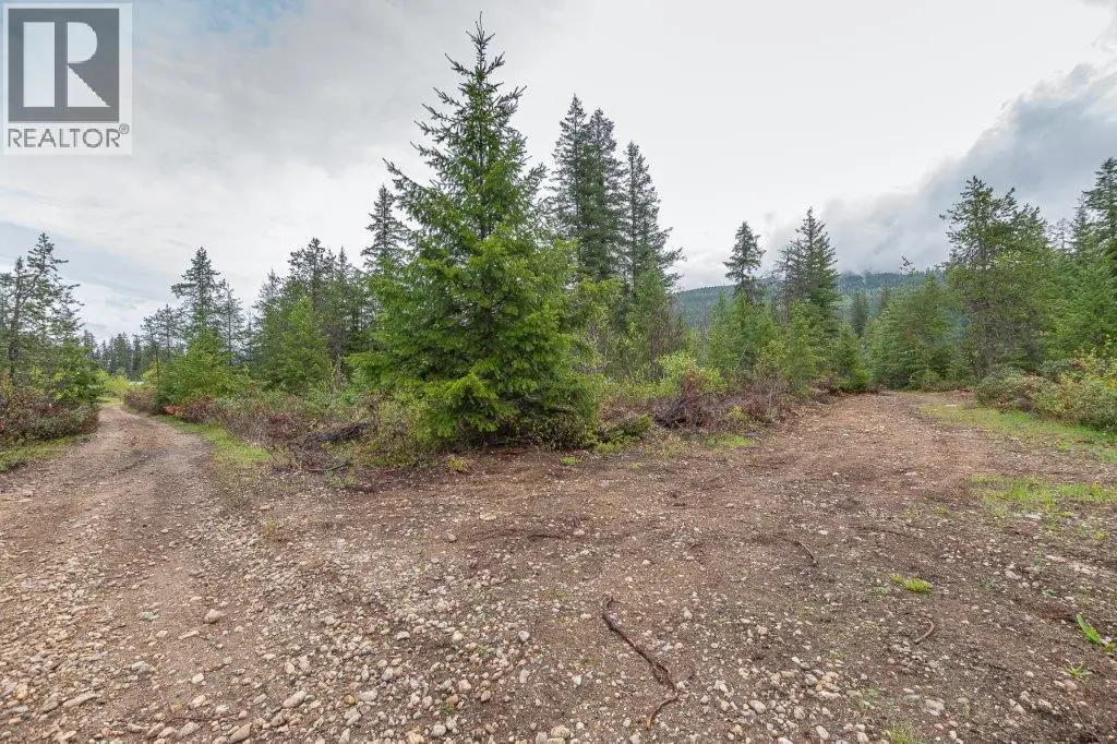 4103 Balsam Way. Malakwa, British Columbia