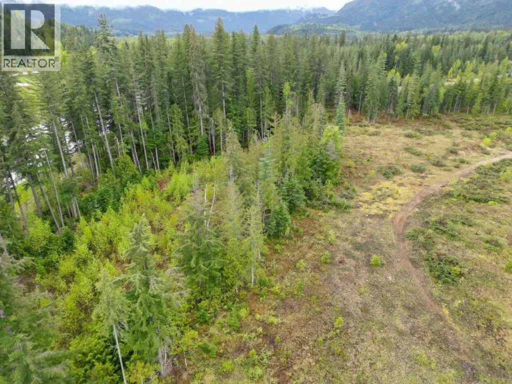4103 Balsam Way. Malakwa, British Columbia