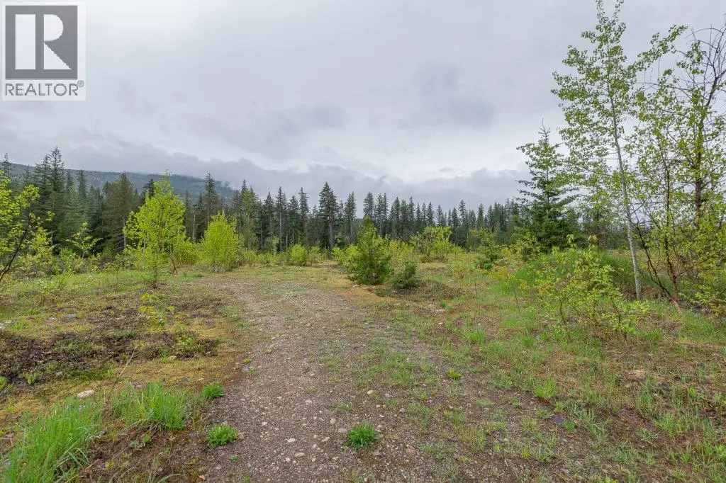 4103 Balsam Way. Malakwa, British Columbia