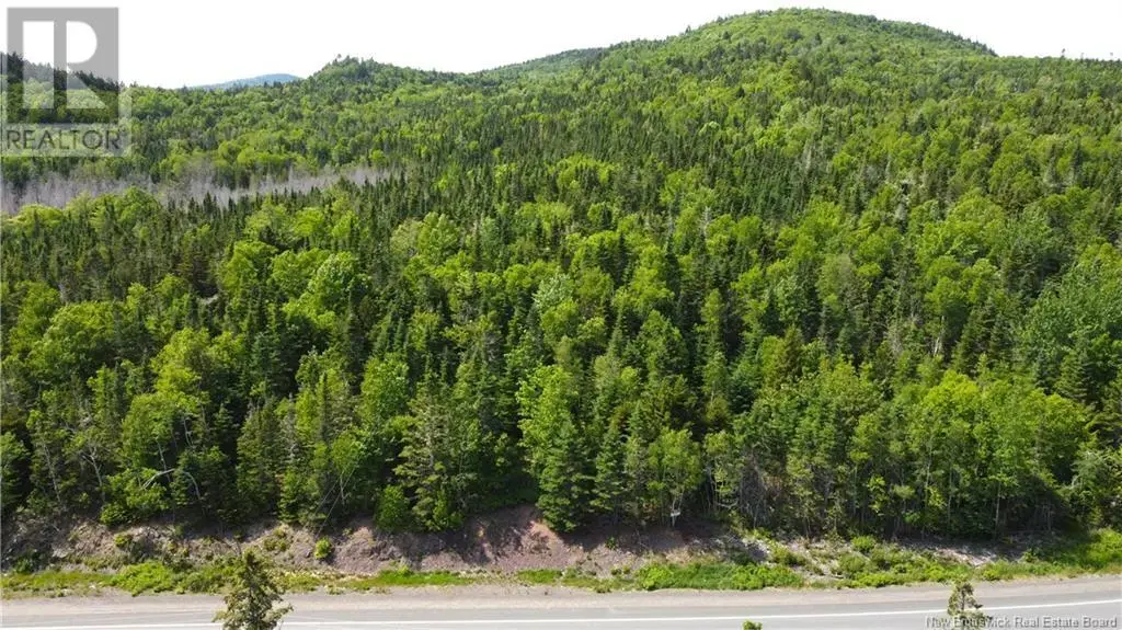 Lot 2024-2 Route 127, Chamcook