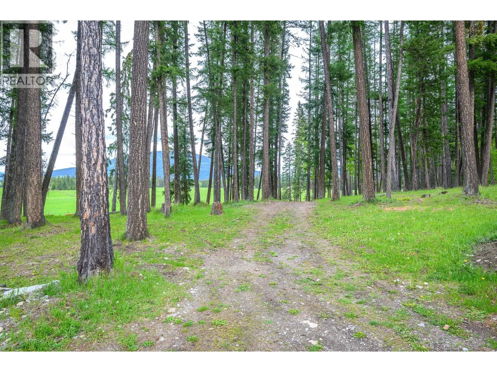 4 Hollingsworth Road. Cherryville, British Columbia