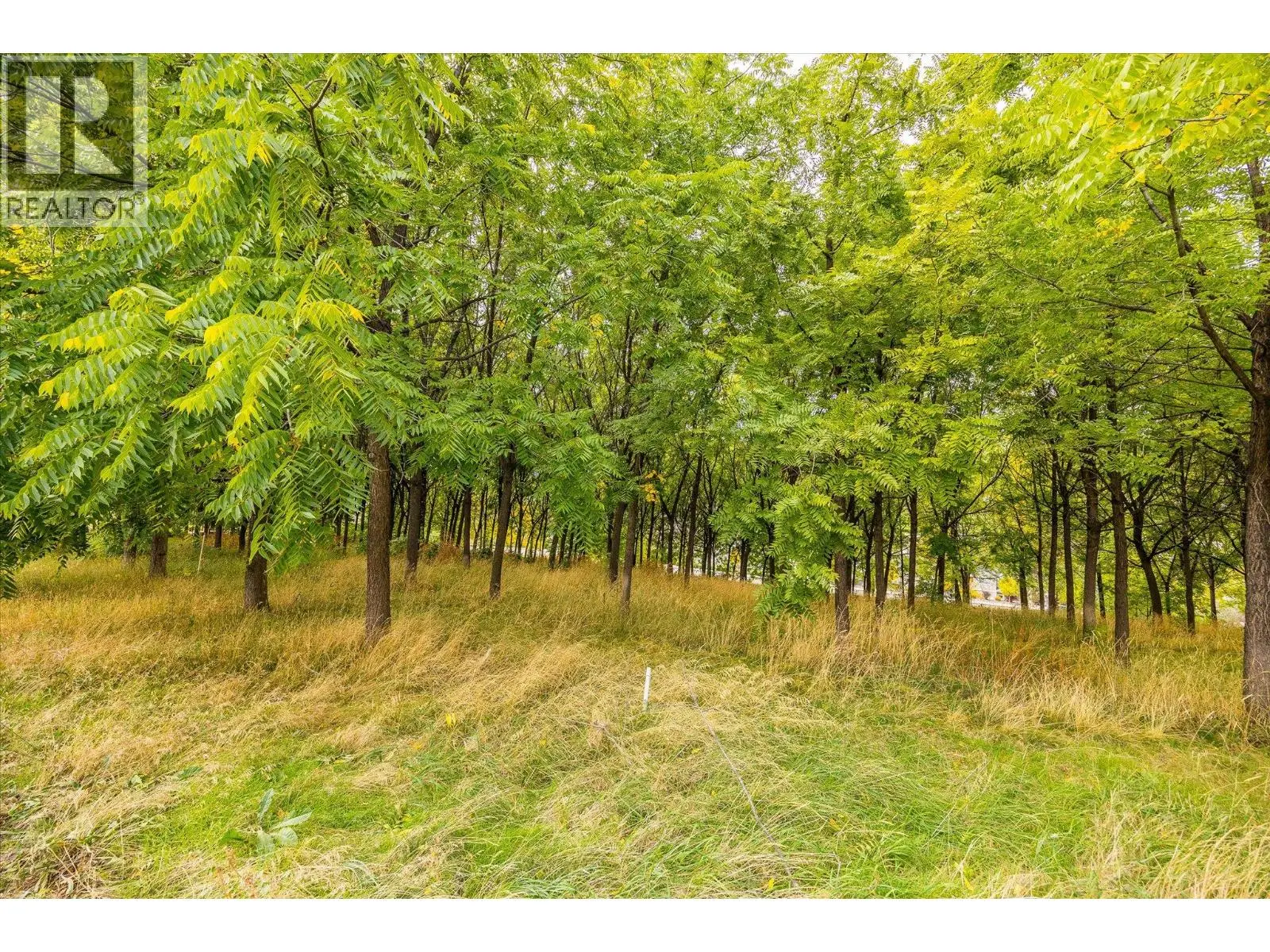 848 Webster Road. Kelowna, British Columbia