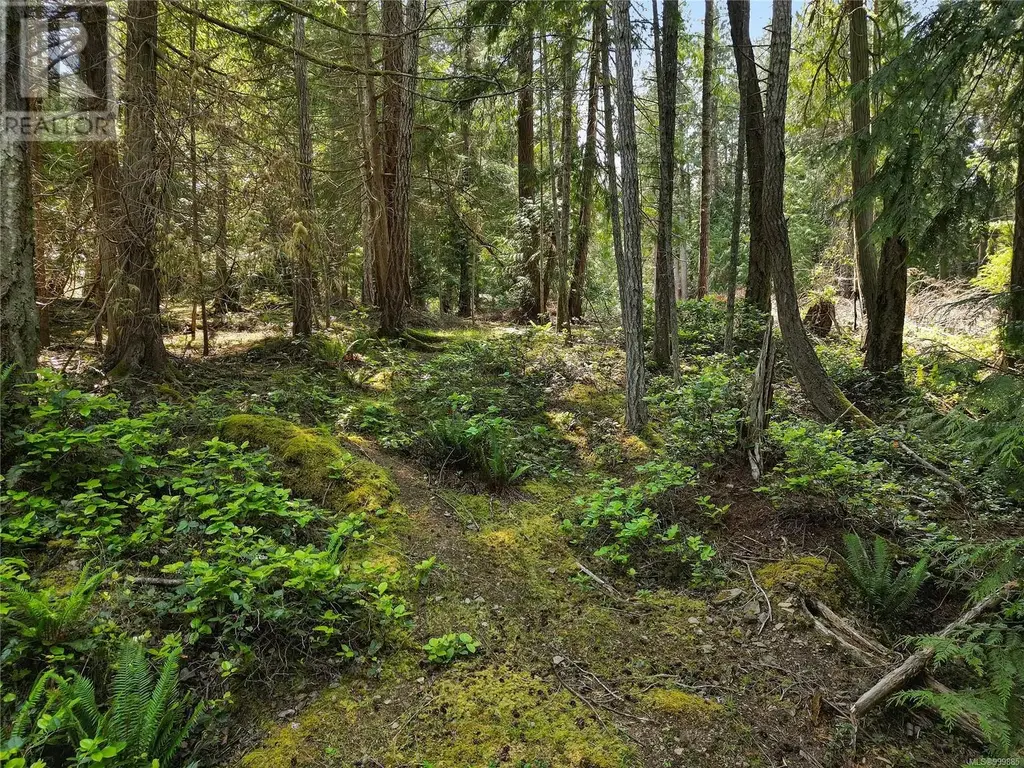 568 Aya Reach Rd, Mayne Island