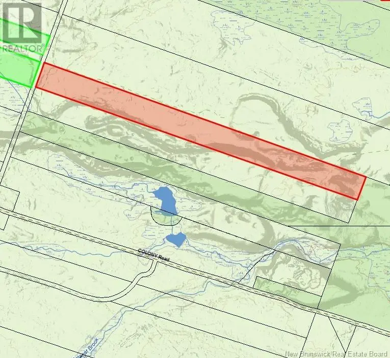 Photo of Listing #NB119899