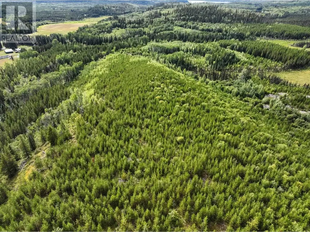 Lot 4 Saxton Lake Road, Prince George