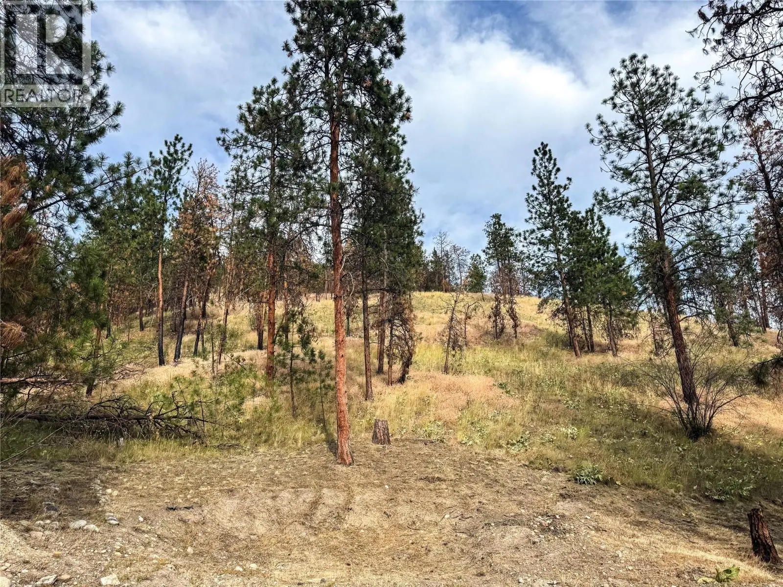 9775/9819 Okanagan Centre Road W. Lake Country, British Columbia