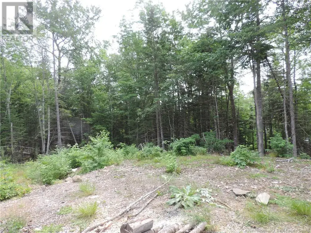 1293 Brittain Road, Lower Greenwich