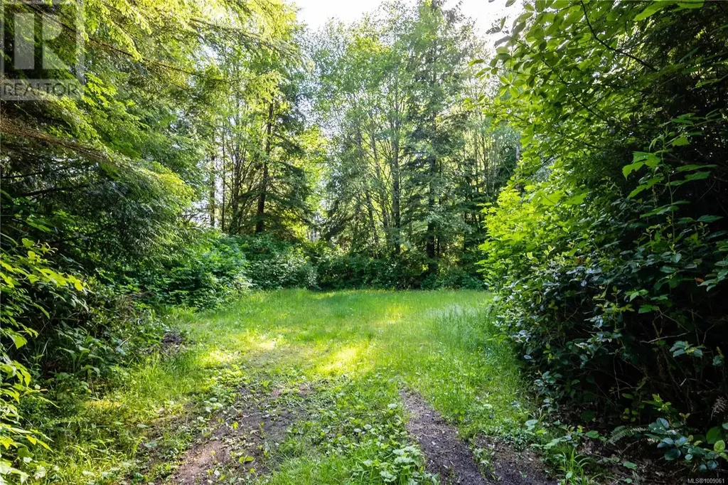 1208 Lynn Rd, Tofino