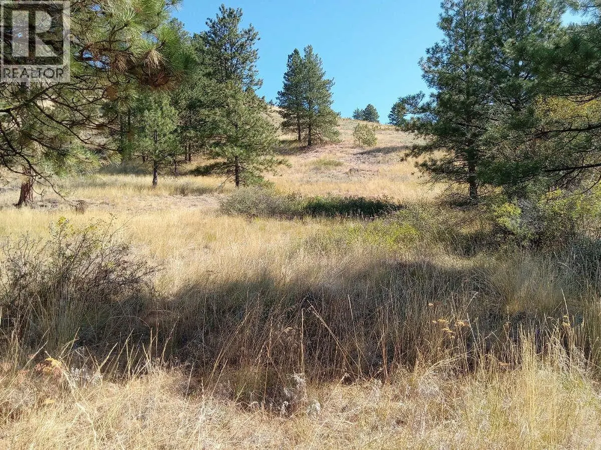 1024 Bullmoose Trail Lot# 8. Osoyoos, British Columbia