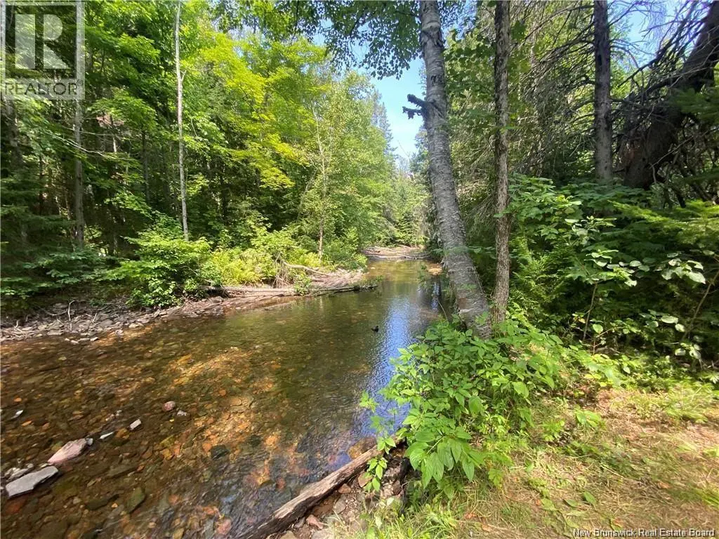 Photo of Listing #NB124354