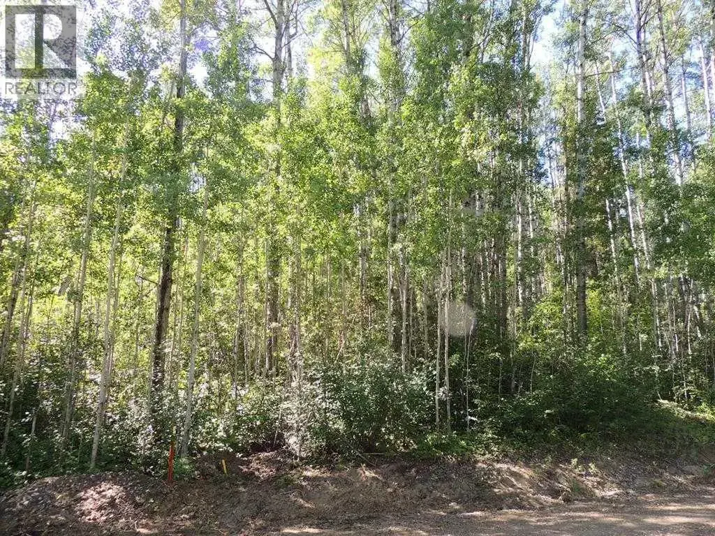 Lot #11 Wapiti River Sw-21-69-10-w6, Rural Grande Prairie No. 1, County of